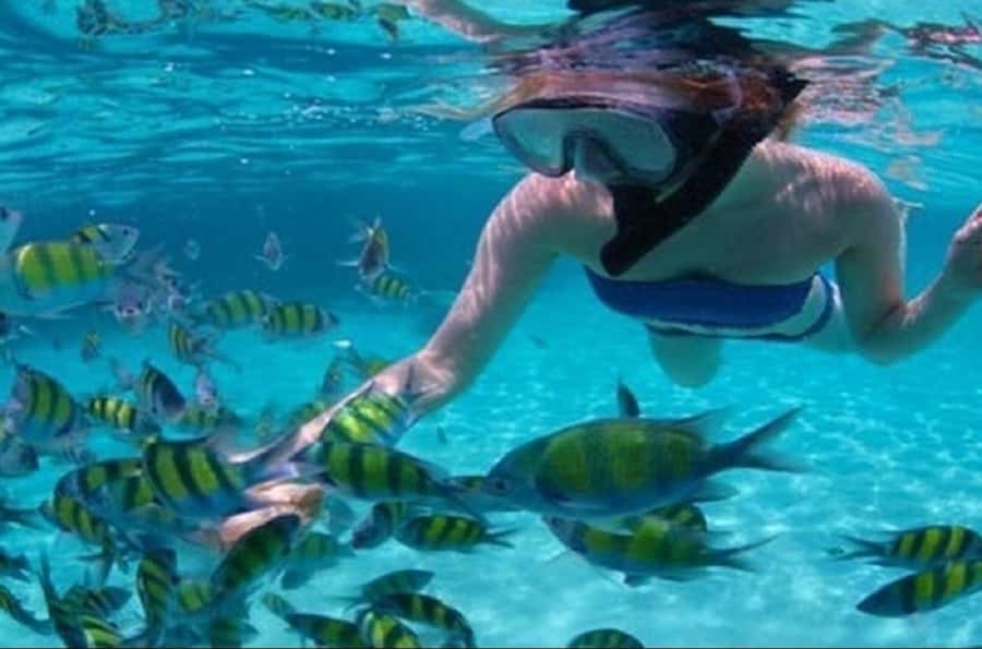 Mauritius: Ile Aux Cerfs Catamaran Cruise with Lunch - The pace, optional add-ons, and the long pause question