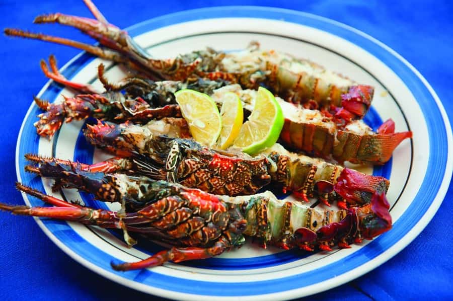 Mauritius: Ile Aux Cerfs Catamaran Trip w/ Lunch & Transfer - Key things to know before you go