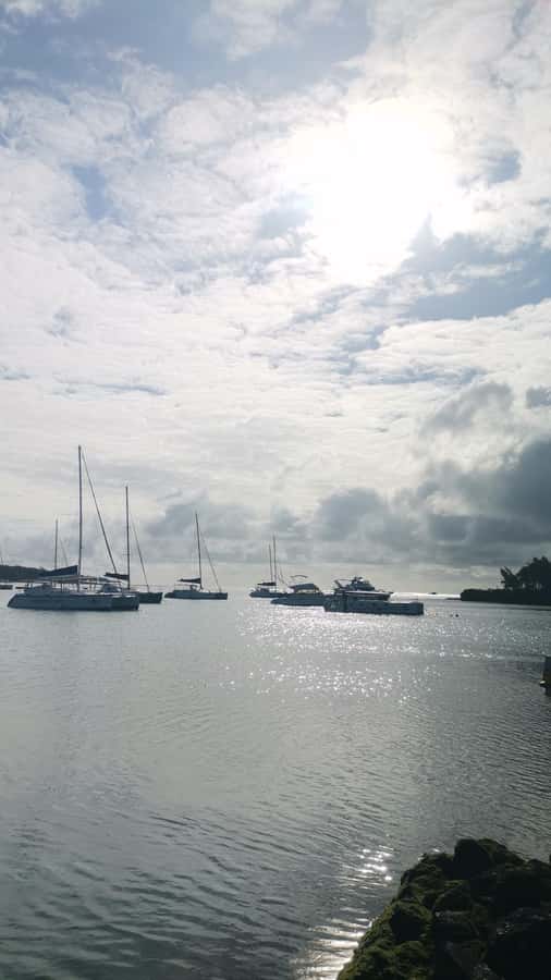 Mauritius: Ile aux cerfs, waterfalls and bbq Boat Day - Your Ile aux Cerfs time: chill until 12:30, then head out