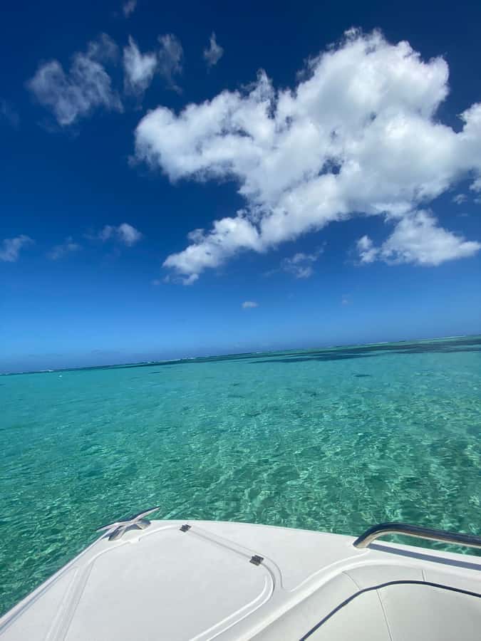 Mauritius Le Morne: Eco-Friendly Dolphin Watching Tour - What happens before you leave shore: captain briefing that actually helps