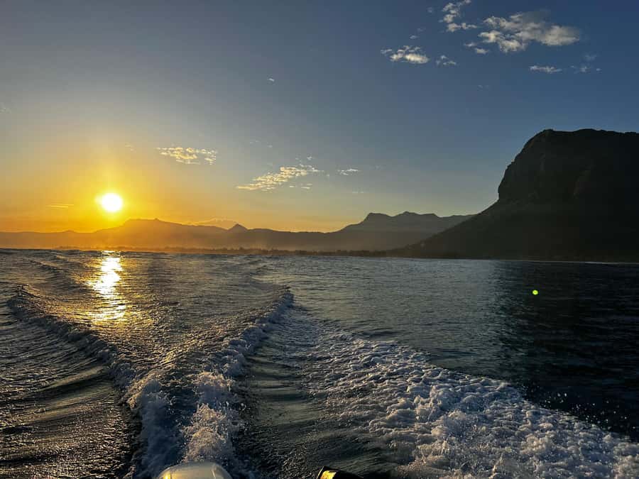 Mauritius Le Morne: Eco-Friendly Dolphin Watching Tour - Finding dolphins without turning it into a frantic sprint