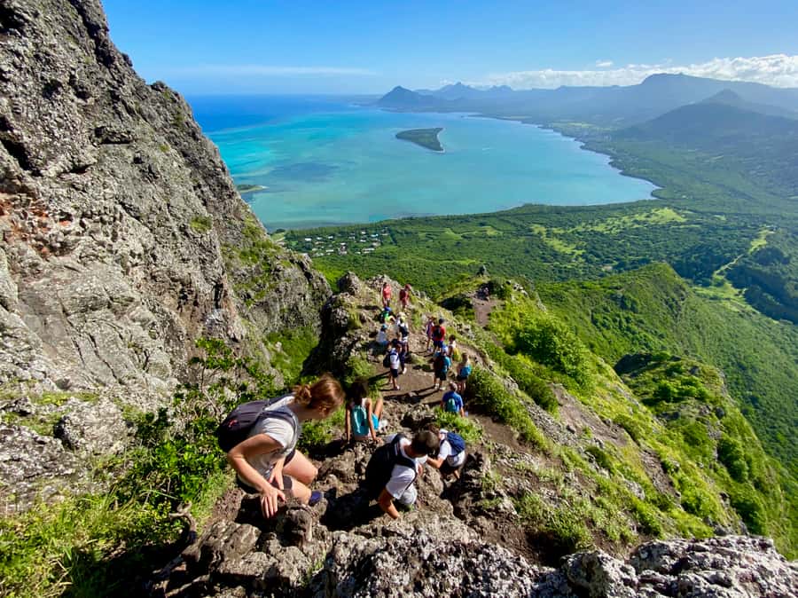 Mauritius: Le Morne Mountain UNESCO Eco Hike - Wildlife and bird spotting on the private estate before your feet hit the trail