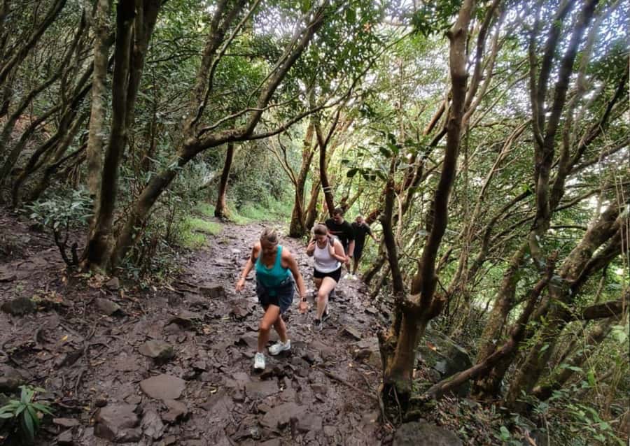 Mauritius: Le Pouce Guided Hiking Experience with a local - Why Le Pouce Works So Well for Sunrise or Sunset