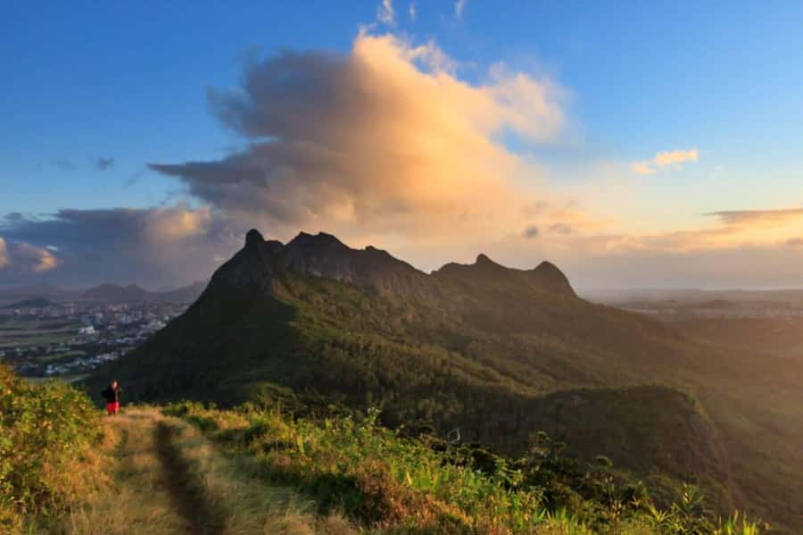 Mauritius: Le Pouce Guided Hiking Experience with a local - Wildlife and Flora: What You Can Expect Without Chasing It