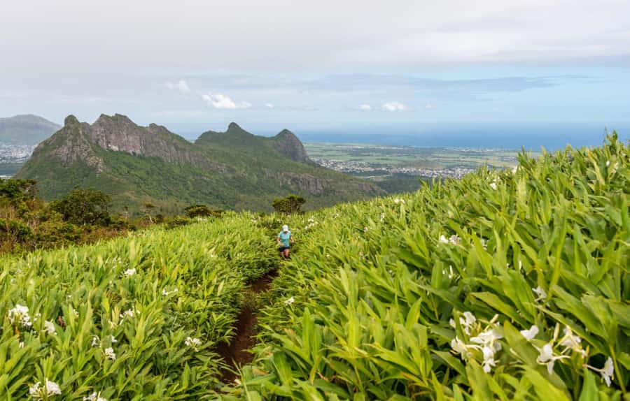 Mauritius: Le Pouce Guided Hiking Experience with a local - Price and Value: Is $55 Worth a 3-Hour Mountain Experience?