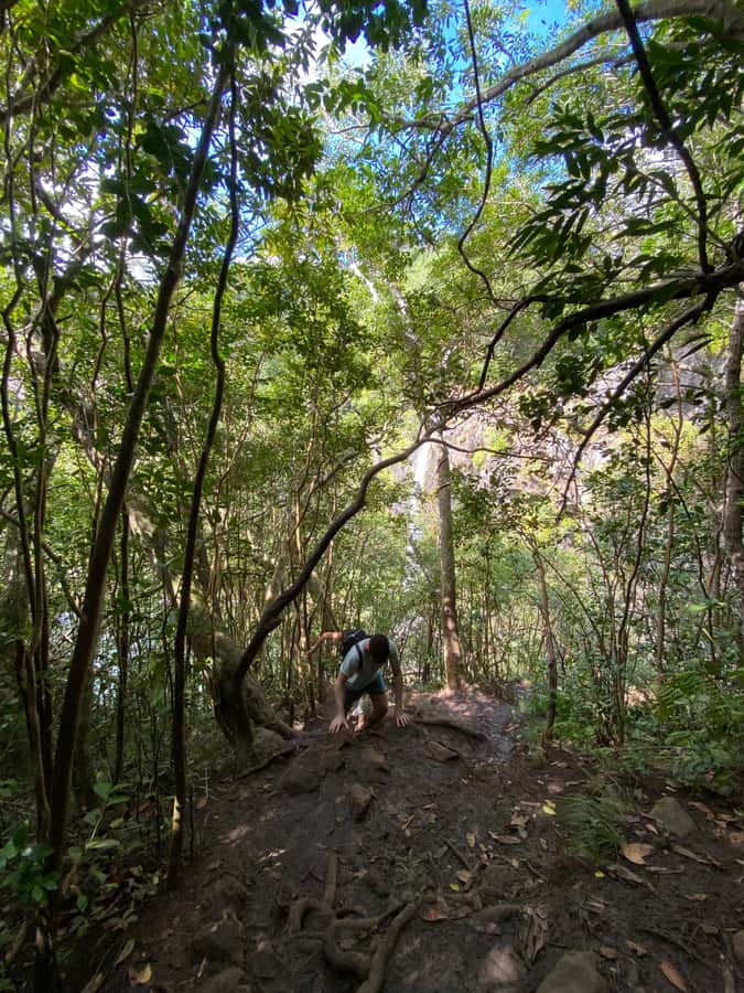 Mauritius Natirel : 7 cascades valley waterfall discovery - Stop-by-Stop Breakdown: What You Do and Why It’s Worth It