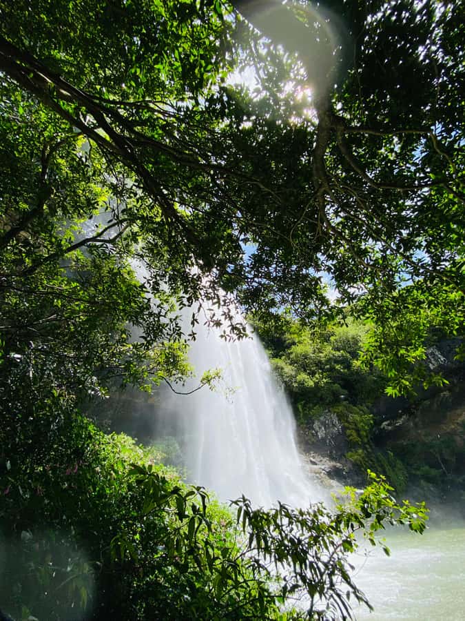Mauritius Natirel : 7 cascades valley waterfall discovery - Food Stops: Breakfast, Fruit Tasting, and Creole Lunch