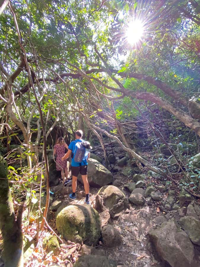 Mauritius Natirel : 7 cascades valley waterfall discovery - Group Size and Pace: When a Small Adventure Feels Personal