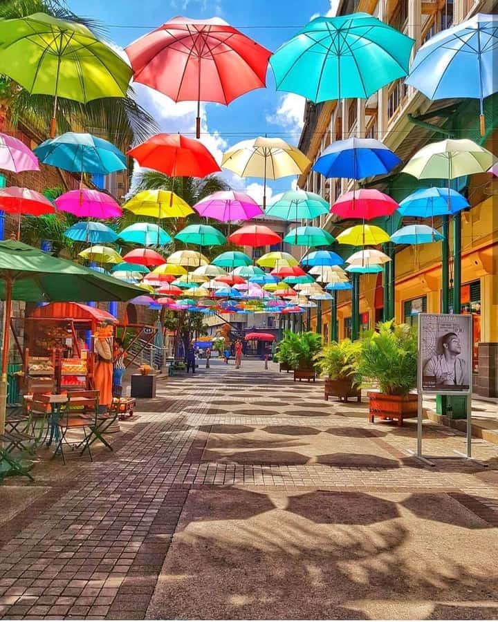 Mauritius North: Private Paradise Tour with Gardens, Markets - What the North Tour Really Gives You: City, Gardens, Sugar, and Church Photos
