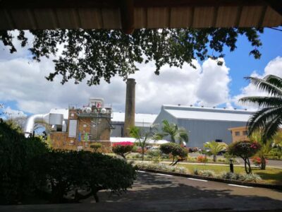 Private Paradise Tour with Gardens, Markets