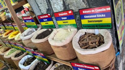 Northern Tour w/Port Louis Market, Temple & Beach