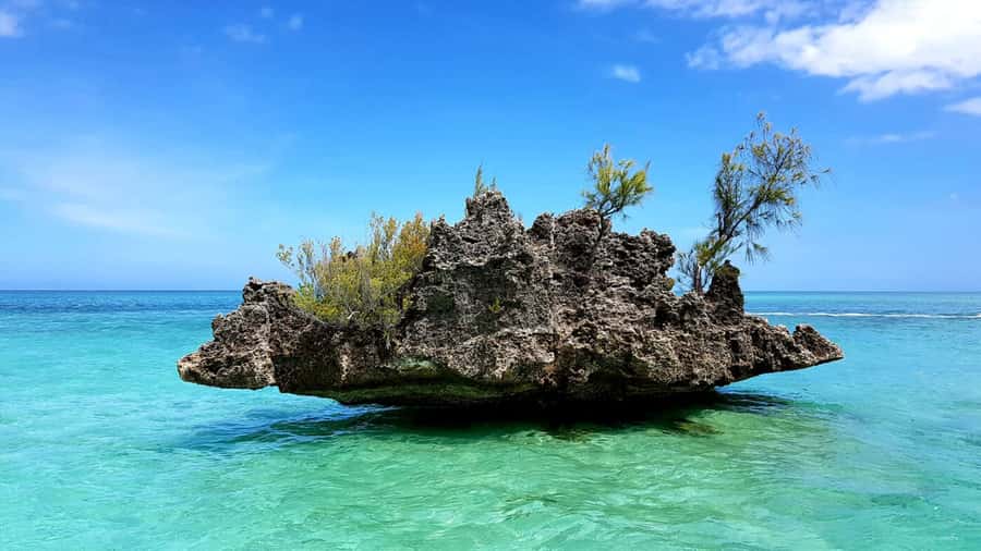 Mauritius: Ocean Swim with Dolphins - A Morning Speedboat Day on Mauritius, Starting at Martello Tower Museum