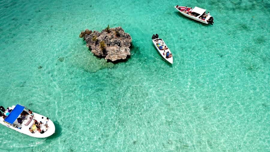 Mauritius: Ocean Swim with Dolphins - Île aux Bénitiers: BBQ, Drinks, and Time to Just Be on Island Time