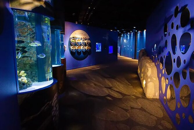 Mauritius Odysseo Oceanarium in Port Louis - Inside the 5500 m2: how the habitat design changes your experience