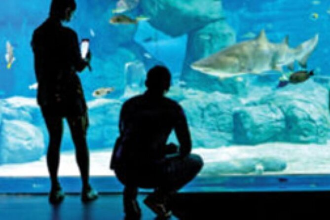 Mauritius Odysseo Oceanarium in Port Louis - Education and conservation: what the pollution displays add to the day