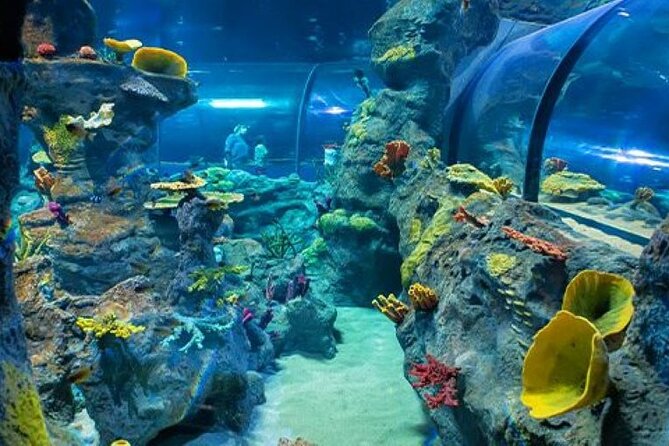 Mauritius Odysseo Oceanarium in Port Louis - Price and value: is $42 worth it?