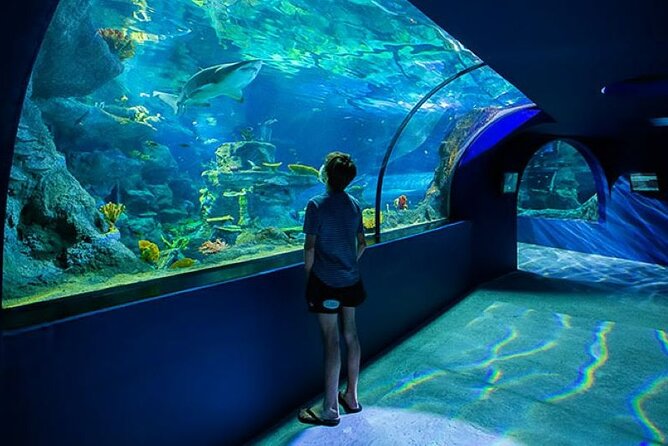 Mauritius Odysseo Oceanarium in Port Louis - The central tank moment: sharks, big fish, and glass that makes photos work