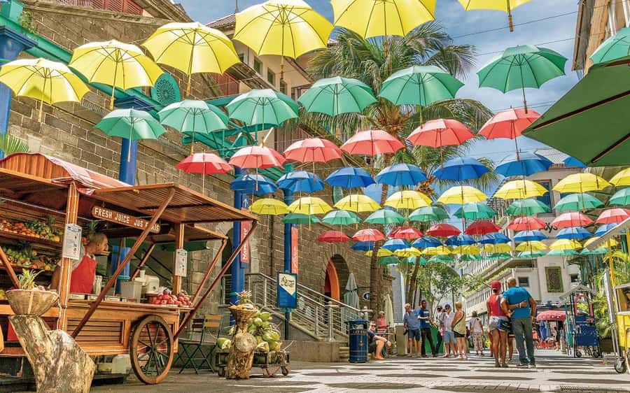 Mauritius: Port Louis and Northern Highlights Full-Day Trip - Why Port Louis and Northern Mauritius Fit Together in One Day
