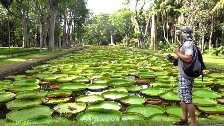 Mauritius: Port Louis and Northern Highlights Full-Day Trip - Port Louis Central Market and Caudan Waterfront: Eat, Shop, and Reset