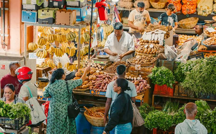 Mauritius: Port Louis and Northern Highlights Full-Day Trip - Hotel Pickup to Fort Adelaide: Start High, Then Go Human