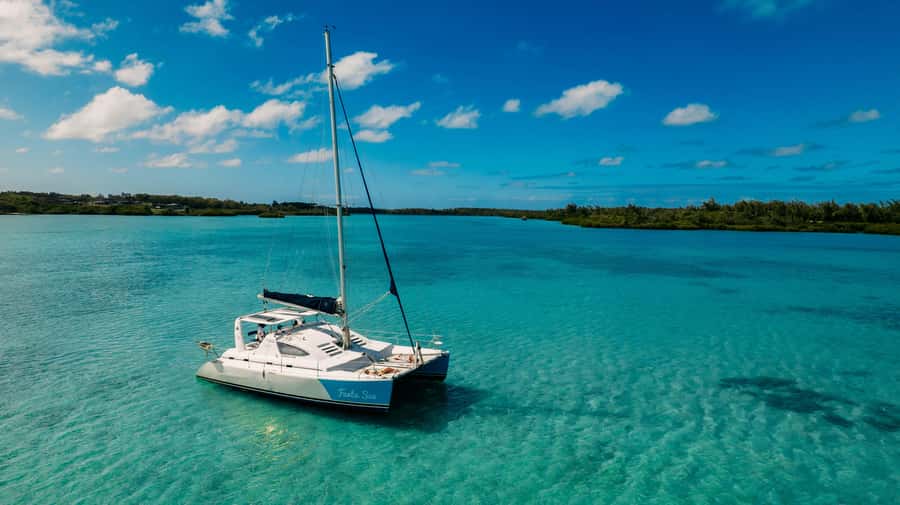 Mauritius: Private Catamaran Tour to île aux Cerfs - Dolphin spotting that stays focused on the wild