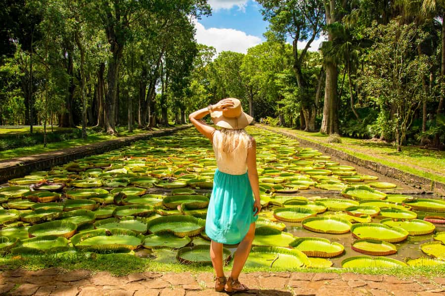 Mauritius: Private Full-Day Iconic Instagram Spots - How This 8-Hour Route Works From Your Hotel