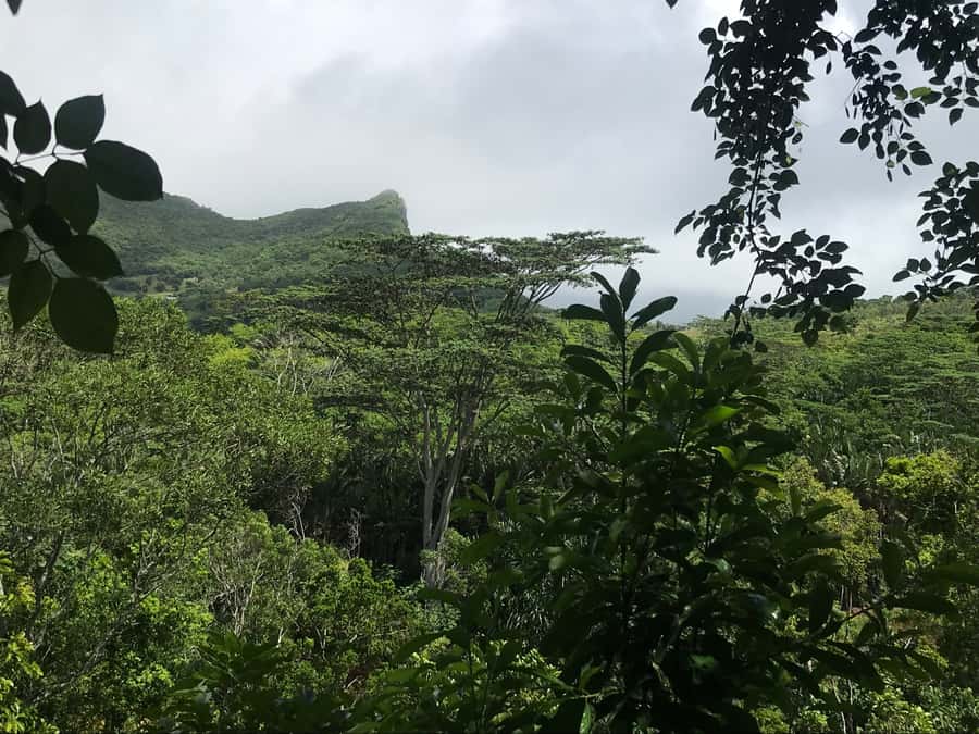 Mauritius: Private Full-Day Iconic Instagram Spots - Guides, Photo Help, and Why a Private Car Changes the Day