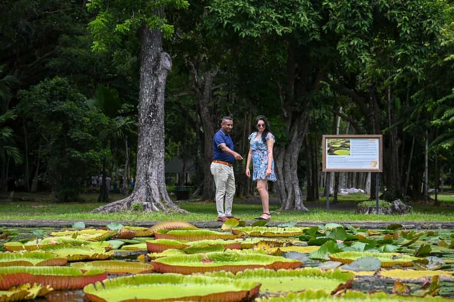 Mauritius: Private Full-Day North Mauritius Tour - Key highlights worth your attention