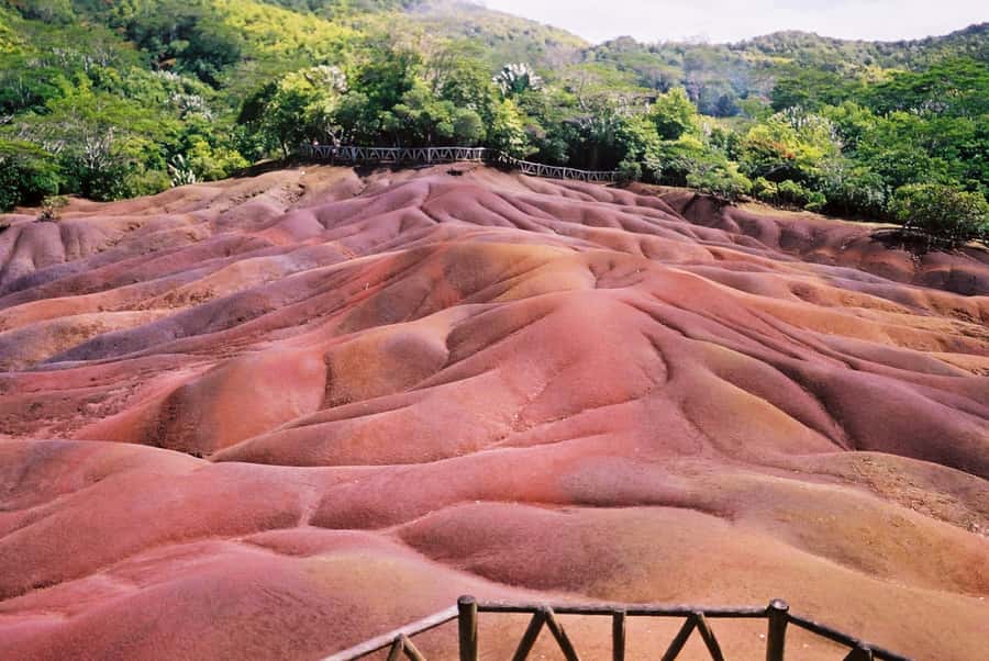 Mauritius: Private Full Day Tour with Entry Tickets & Lunch - Mare aux Vacoas Reservoir and the rhythm of everyday Mauritius