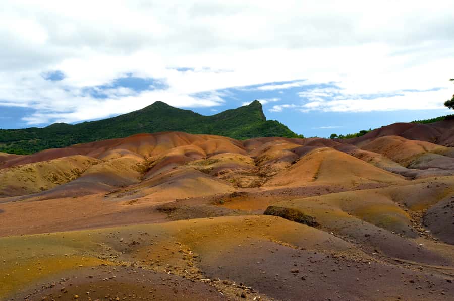 Mauritius: Private Full Day Tour with Entry Tickets & Lunch - Plaine Champagne Forest Area: cooler air, preserved nature, and guava season timing