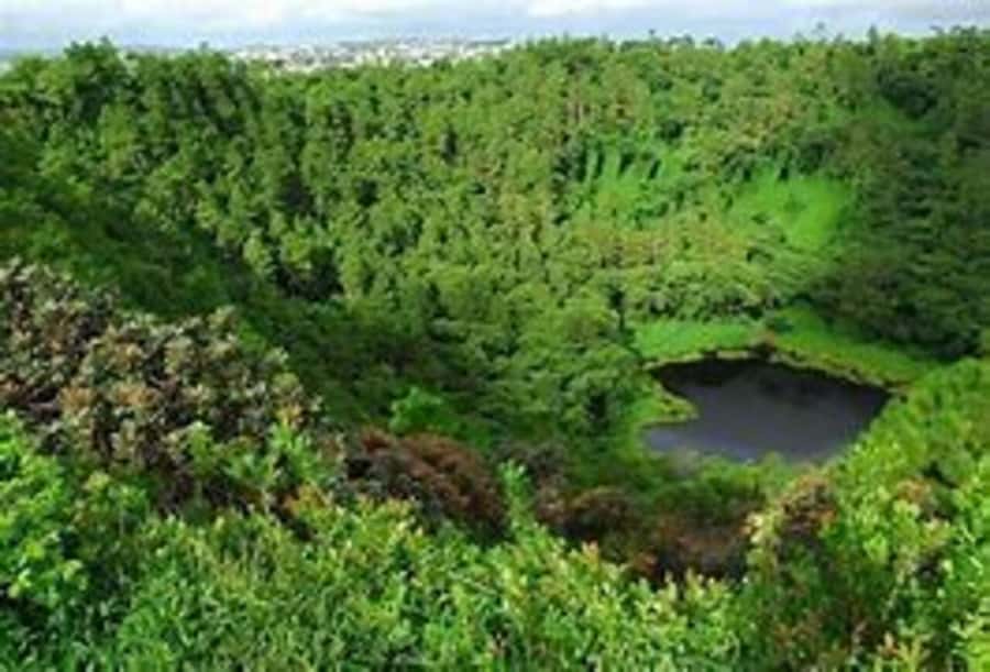 Mauritius: Private Guided South Tour with Pickup - Trou aux Cerfs: a calm volcanic crater view above Curepipe