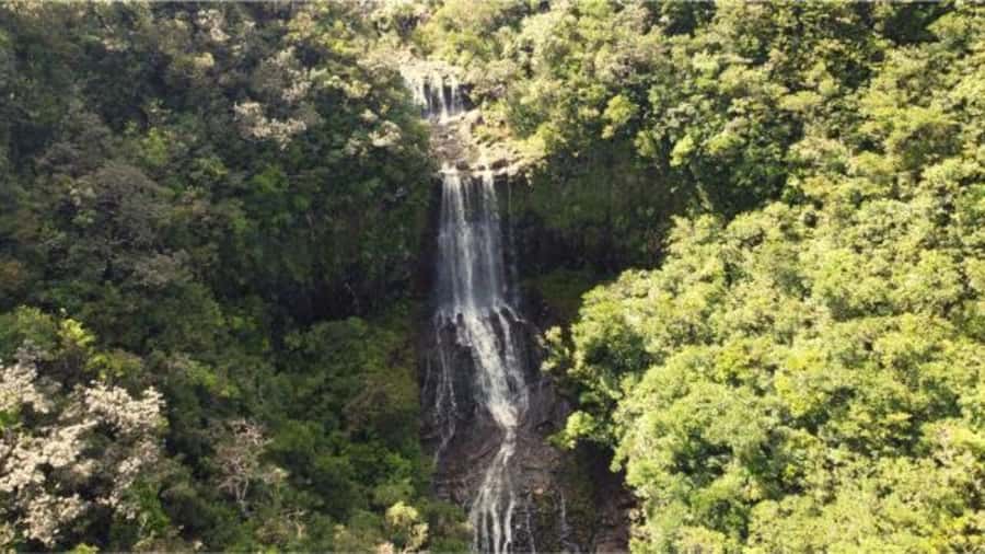 Mauritius: Private Guided South Tour with Pickup - Tips so the day runs smoothly (and you get better photos)