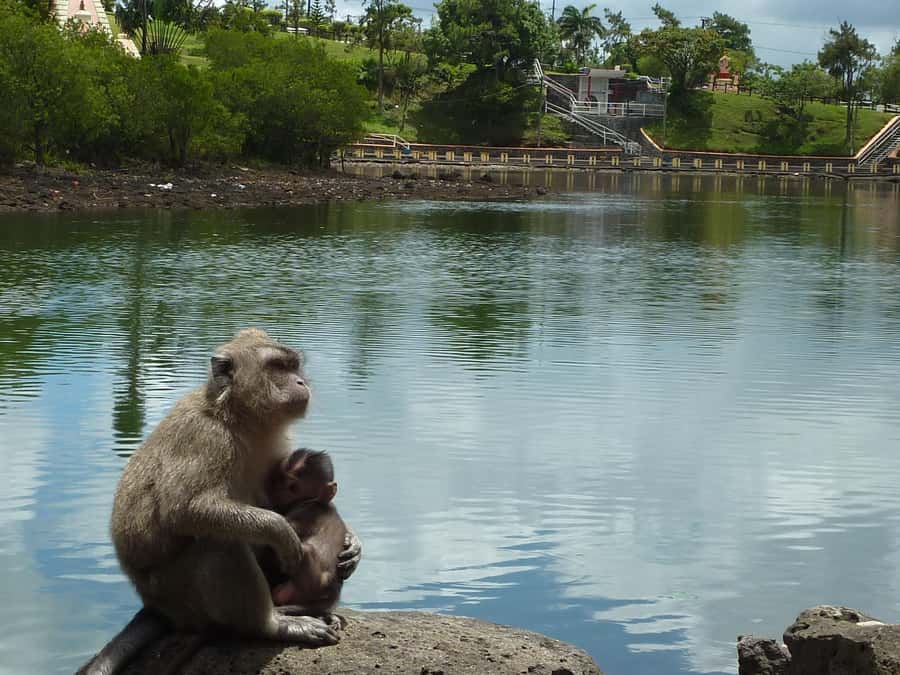 Mauritius: Private Guided South Tour with Pickup - Pickup, timing, and how the 8-hour drive feels