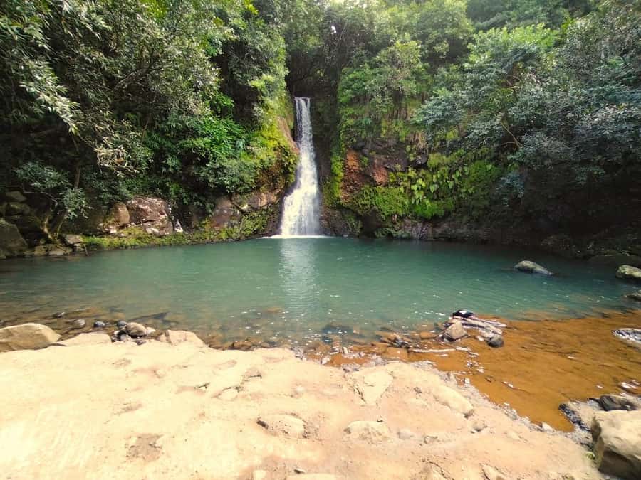 Mauritius: Private South Day Tour with Hotel Transfer - Hotel Pickup to 5-6 PM Drop-Off: The Convenience You’re Really Paying For