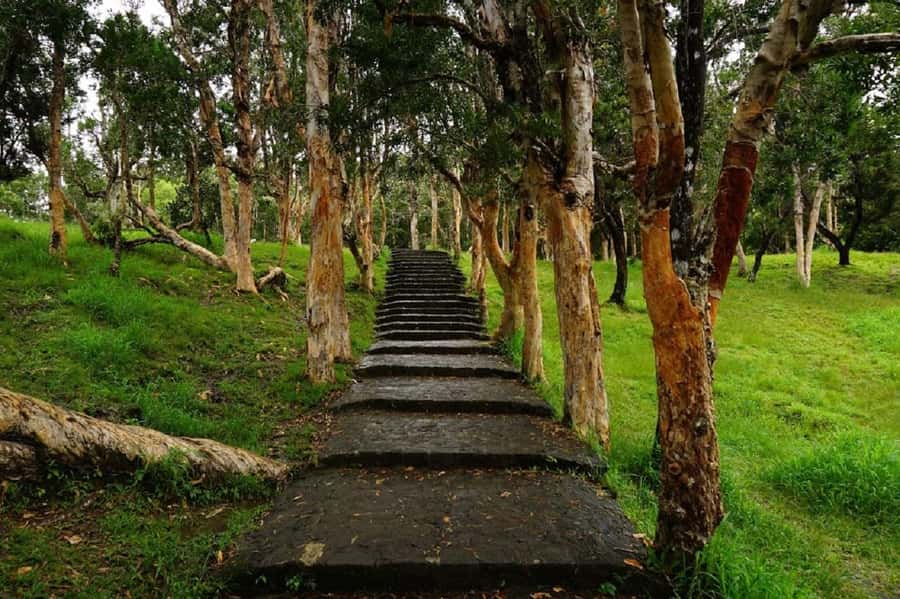 Mauritius: Private South Day Tour with Hotel Transfer - Vallée Advenature Park and the 23 Colored Earths in Chamouny