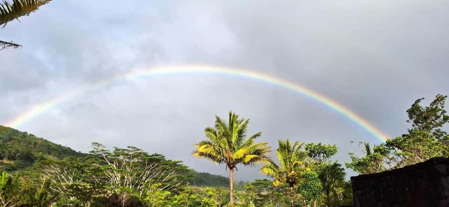 Mauritius: Private South Day Tour with Hotel Transfer - Comfort, Timing, and the Big Day Reality