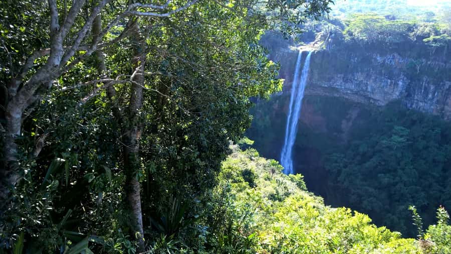 Mauritius: Private South Side and Dolphin Adventure Tour - The 9-hour South Mauritius route, stop-by-stop with real-world context