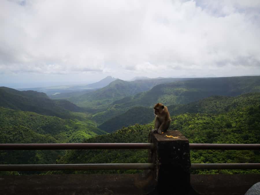 Mauritius: Private South Tour with Pickup - Trou aux Cerfs: Extinct Volcano Views and a Touch of Calm