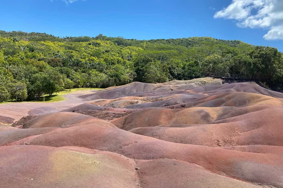 Mauritius: Private South-West Nature & Viewpoints with Lunch - Key highlights that make this tour worth your time