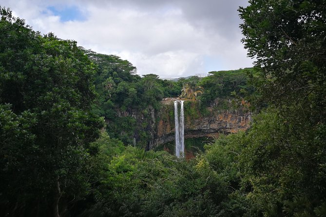 Mauritius Private South West Tour - Black River Gorges National Park: Gorge Viewpoint and the “monkey hello”