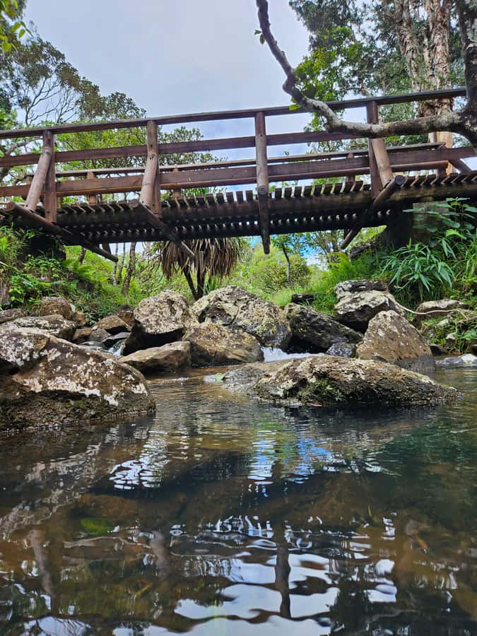 Mauritius: Private Southwest Chamarel Highlights Tour - Grand Bassin (Ganga Talao) and the forest-temple feeling