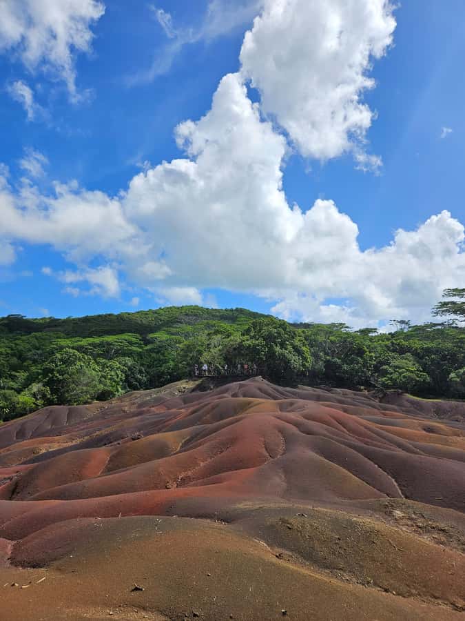 Mauritius: Private Southwest Chamarel Highlights Tour - Alexandra Falls viewpoint and the extreme South perspective
