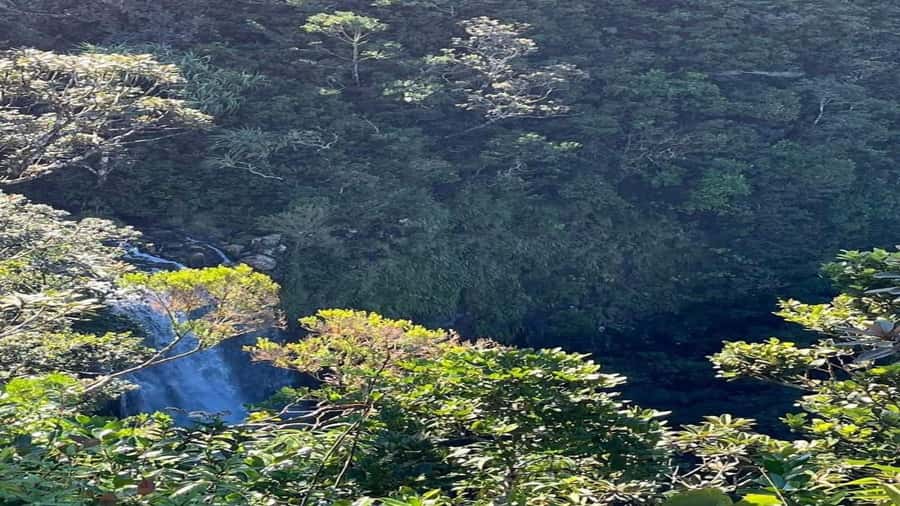 Mauritius: private southwest tour - Trou aux Cerfs crater: the viewpoint that sets your bearings