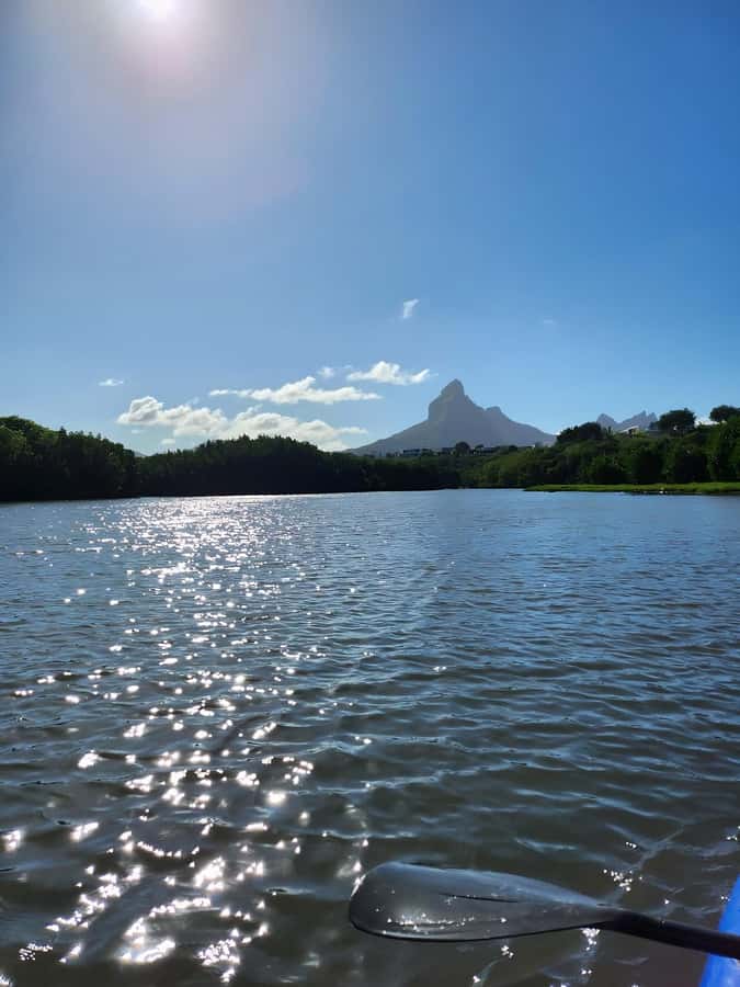Mauritius: River Guided Kayak Tour with Monkeys - Key highlights worth your attention