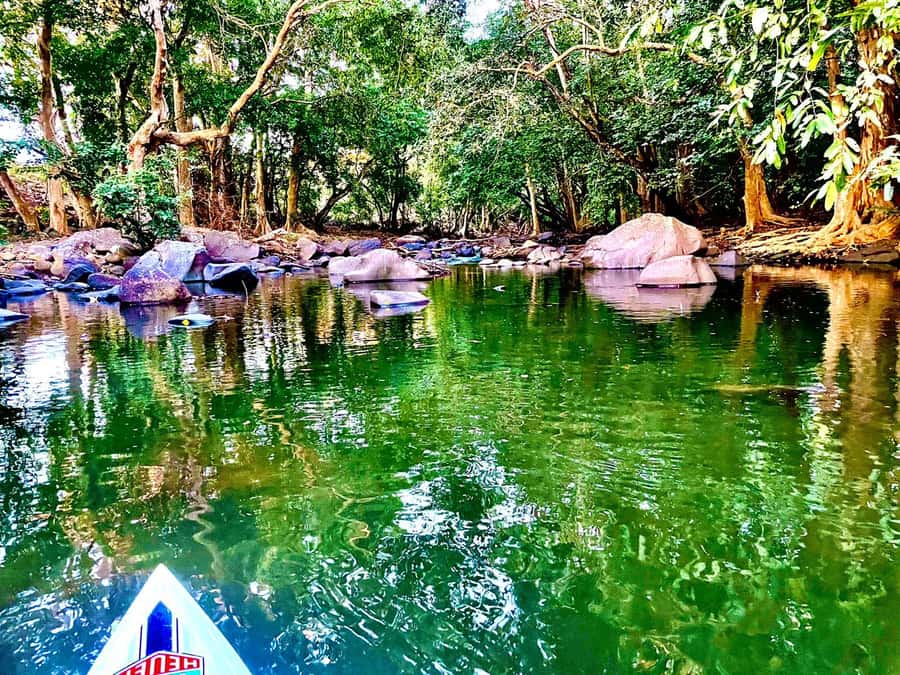 Mauritius: River Guided Kayak Tour with Monkeys - Why the guides matter: Kenan and Cedric made the biology click