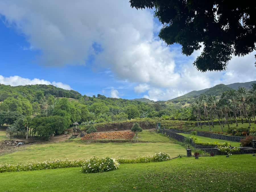 Mauritius: Scenic Bike Trails with Gear & Shuttle - Picking Your Trail Color: Green, Blue, and Red Without Guesswork