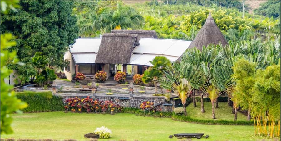 Mauritius: Scenic Bike Trails with Gear & Shuttle - Wildlife Moments: Deer, Birds, and Giant Bats