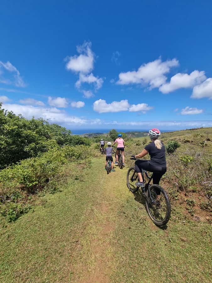Mauritius: Scenic Bike Trails with Gear & Shuttle - Price and Value: Why $70 Can Actually Feel Fair Here