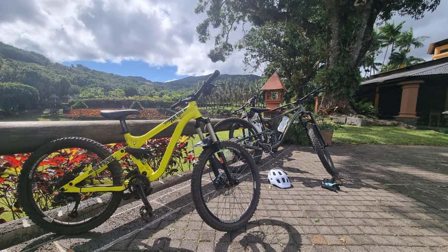 Mauritius: Scenic Bike Trails with Gear & Shuttle - Who Should Book Mo’Bike, and Who Might Skip It