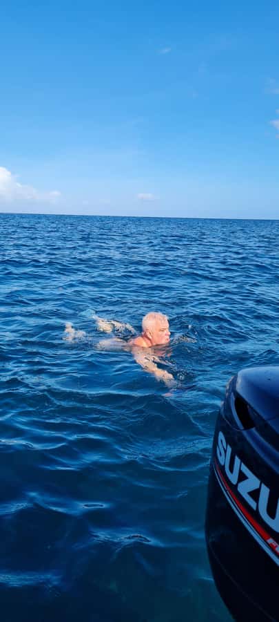 Mauritius: Snorkel and Swim with Dolphins on Speedboat Tour - The speedboat ride: views first, then the hunt for the right moment